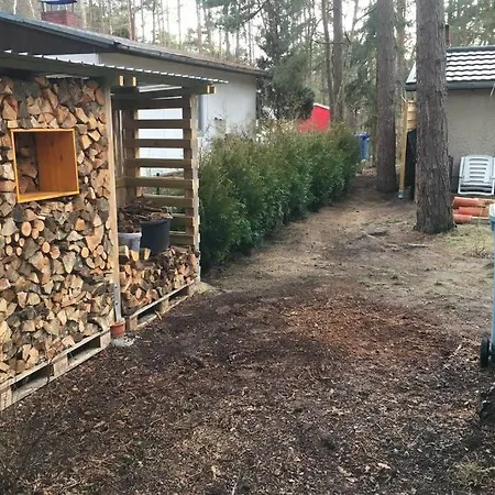 Wald Und Seeidylle, Nahe Badesee, Spreewald, Berlin Groß Köris