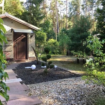 Wald Und Seeidylle, Nahe Badesee, Spreewald, Berlin *
