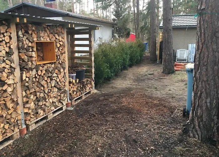 Wald Und Seeidylle, Nahe Badesee, Spreewald, Berlin Groß Köris