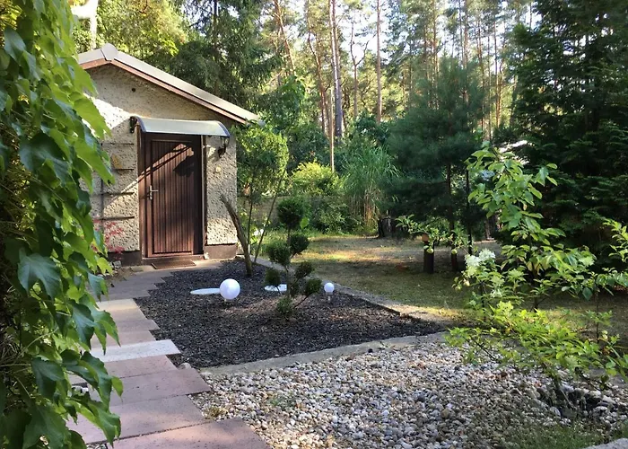 Wald Und Seeidylle, Nahe Badesee, Spreewald, Berlin *