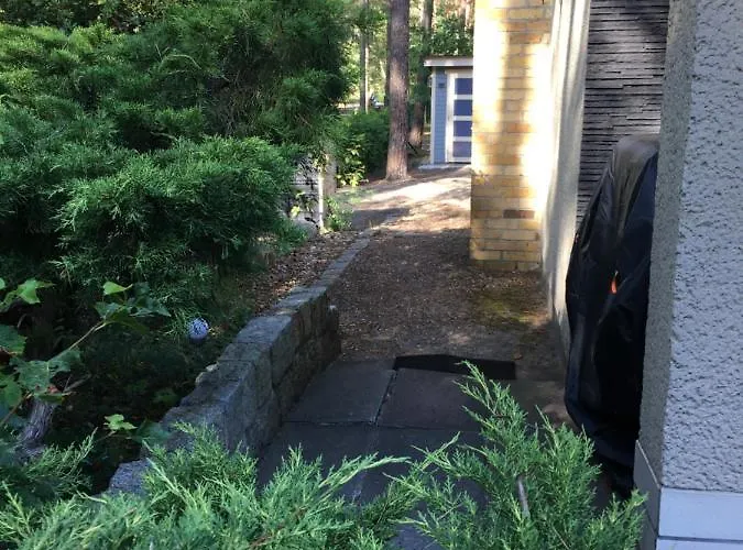 Wald Und Seeidylle, Nahe Badesee, Spreewald, Berlin * Groß Köris