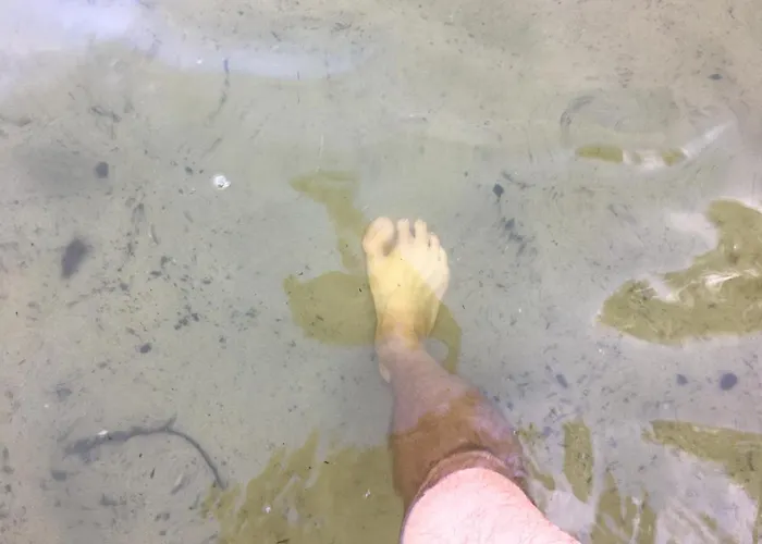 Wald Und Seeidylle, Nahe Badesee, Spreewald, Berlin *