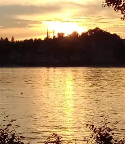 Wald Und Seeidylle, Nahe Badesee, Spreewald, Berlin